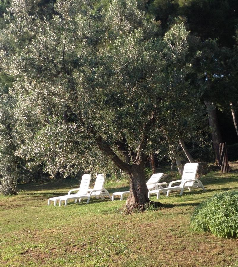 Agriturismo Podere Campalto Campiglia Marittima Exterior photo