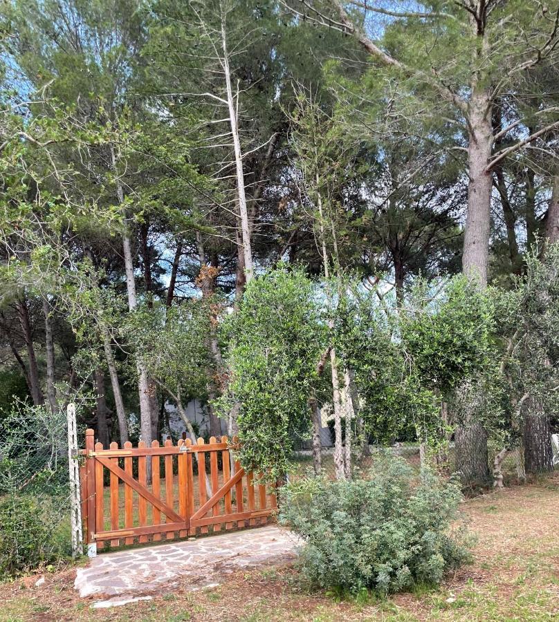 Agriturismo Podere Campalto Campiglia Marittima Exterior photo